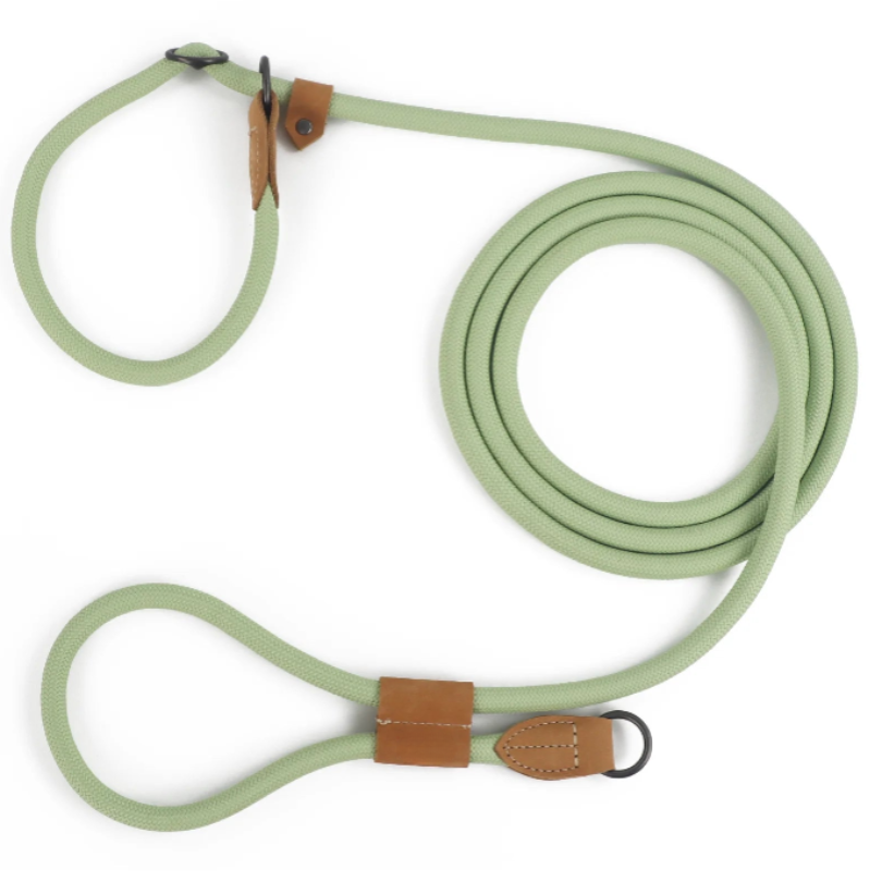 Durable Hands-Free Dog Leash