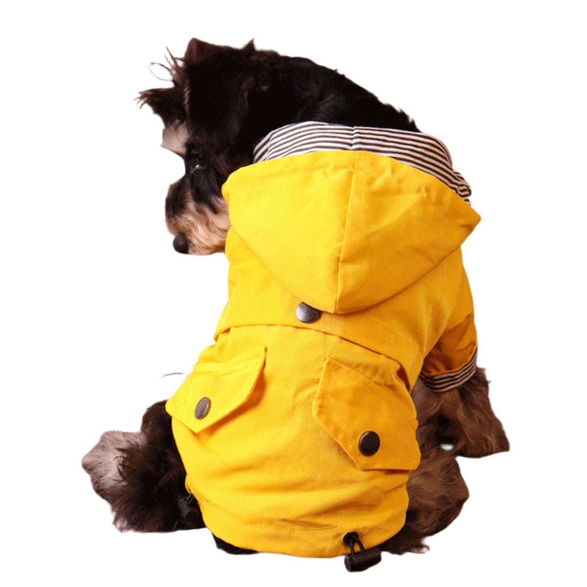 Stylish Waterproof Dog Raincoat