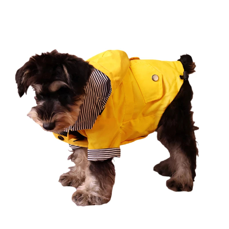 Stylish Waterproof Dog Raincoat